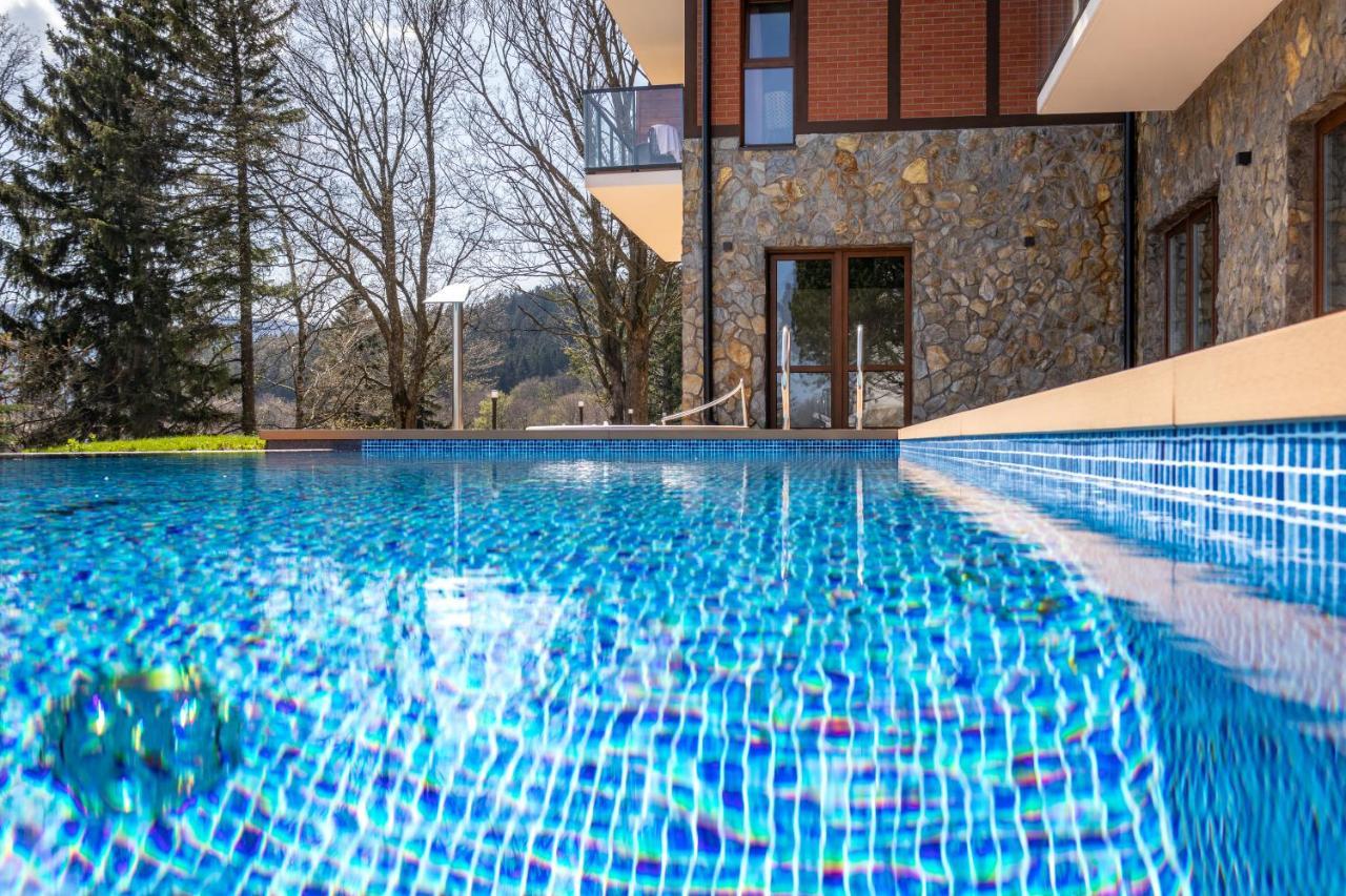 Green Park Resort C15- Z Dostepem Do Basenu, Sauny, Jacuzzi, Silowni Szklarska Poręba Buitenkant foto